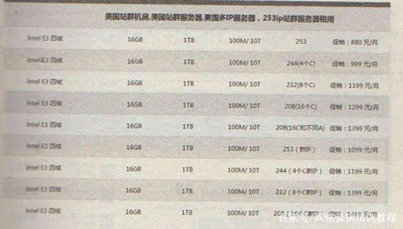 从零开始的网站构建之旅：站群软件的发展与应用