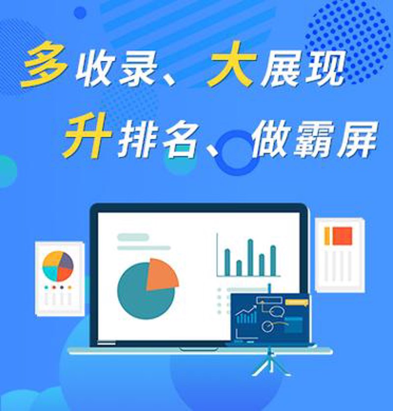 SEO站群策略在电商领域的应用与探索